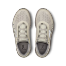 On Running Cloudmonster Ice/Alloy